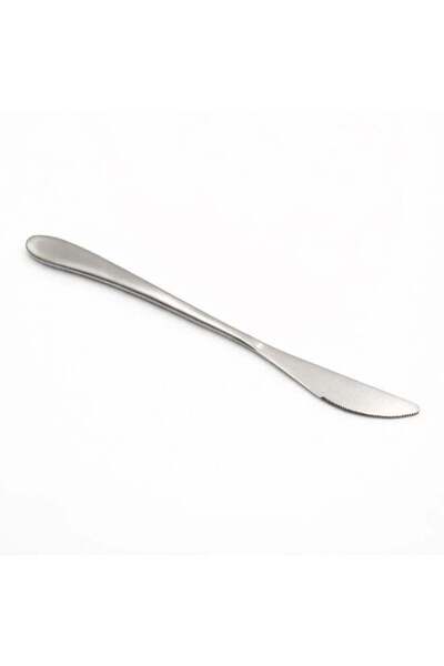 Generic BERAM Silverware Dining Knife – Premium 420 Stainless Steel, Sharp Ta...
