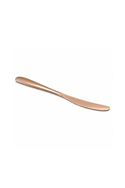 Generic BERAM Table Trend Dinner Knife – Premium 420 Stainless Steel Table Kn...