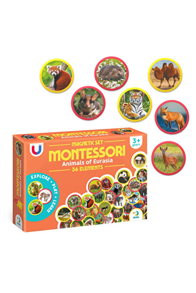 dodotoys Set magnetic Montessori, animale eurasiatice