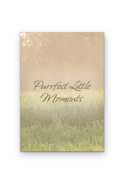 OEM Poster Carton 250g A4, Momente Micute si Miorlait Perfect, Design Decorat...