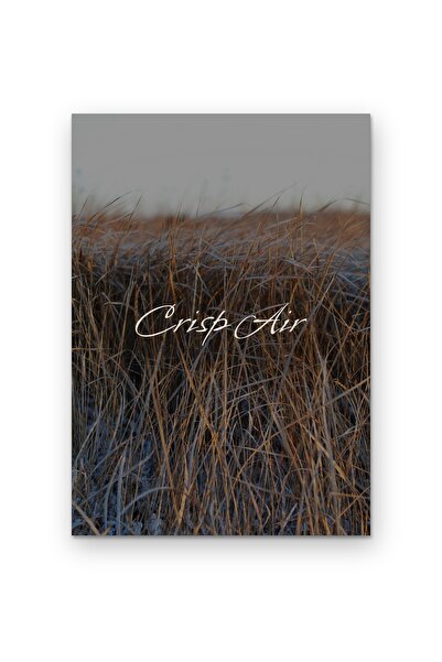 OEM Poster Cardboard 250g A4 Fresh Air, Motivational Quote, Minimalist Design