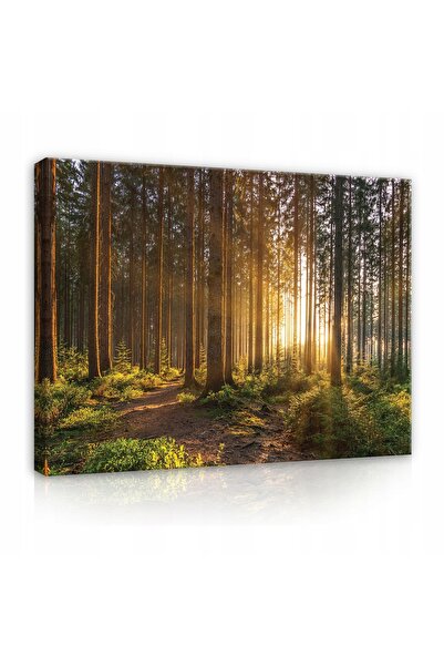 Wallarena Tablou Pădure pe Pânză pentru Living XXL 120x80