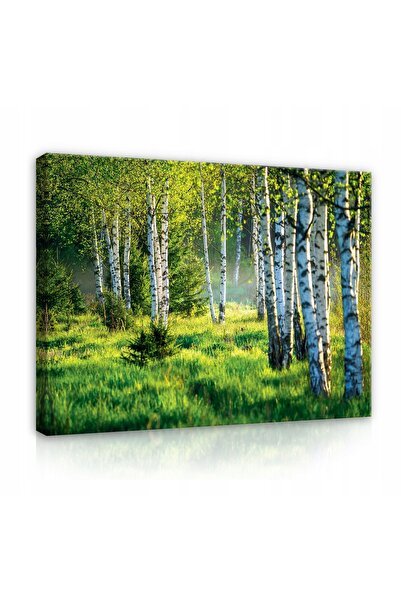 Wallarena Tablou Pânză Natură Pădure Artă de Perete Living 120x80