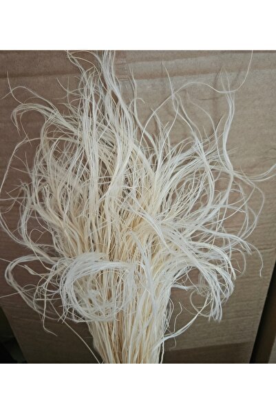 asievents Stipa Pennata alb-ivory, 50 grame, 2 bucati