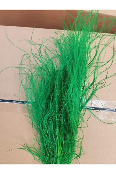 asievents Stipa Pennata verde 50 grame, 2 bucati