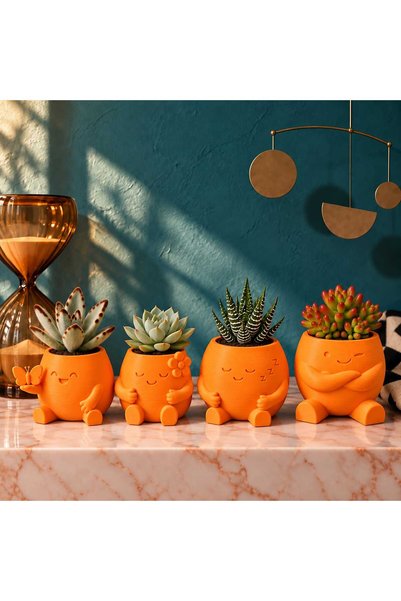 MYCRAFT3D 4lü Sevimli Karakterli Dekoratif Sukulent ve Kaktüs Saksı Seti