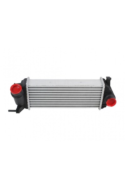LORO Radiator aer admisie Renault Kangoo / Mercedes-Benz Citan 144961489R