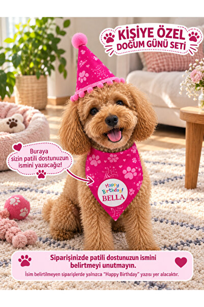 Evcil Hayvan (Köpek) Doğum Günü Seti 2'li – Pembe Kişiye Özel İsimli Önlük ve Parti Şapkası