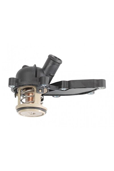 LORO Termostat lichid de răcire VW / Audi A4 / A6 / A8 06E 121 111 G