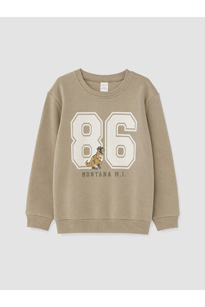 LC Waikiki Rmz Gi̇yi̇m Farkiyla Printed Boys' Thick Sweatshirt