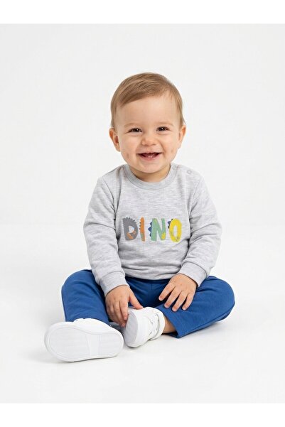 Pamuk Dino Baskılı 2li Erkek Bebek Takım Gri