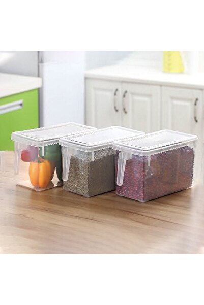 CATIANO Cutie Organizare Frigider cu Maner & Capac din Plastic 31.5x15.5x16cm