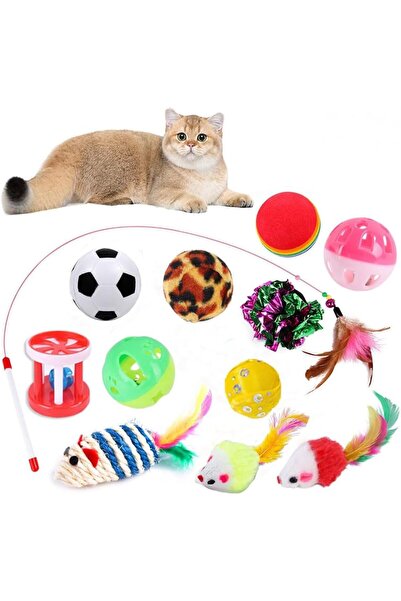 Generic Cat Toy Set, 12 Pcs Kitten Toys, Kitty Toy Interactive for Indoor Cat...