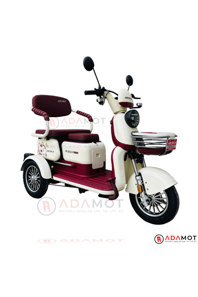 Arora Rüzgar New 650 W 3 Tekerlekli Elektrikli Motosiklet