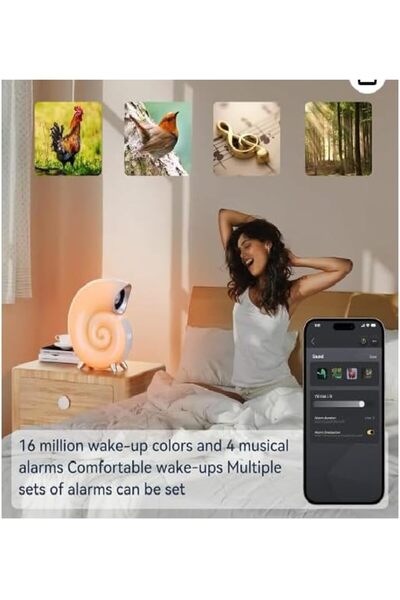 Generic Conch Music Light Bluetooth Speaker with LED Night Light