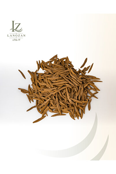 lanozan عصي ماجد