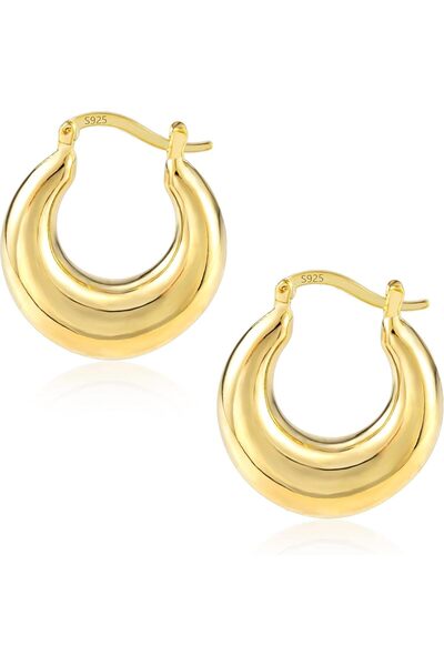 Generic Silver & 14K Gold Plated Chunky Oval Hoop Earrings for Women