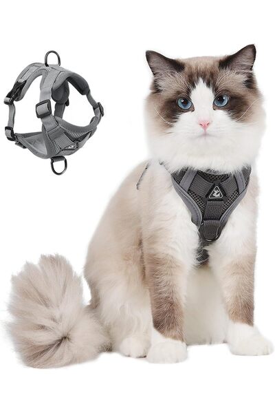 Generic Cat Harness and Leash Set Escape Proof, Kitten Leash for Walking, Adj...