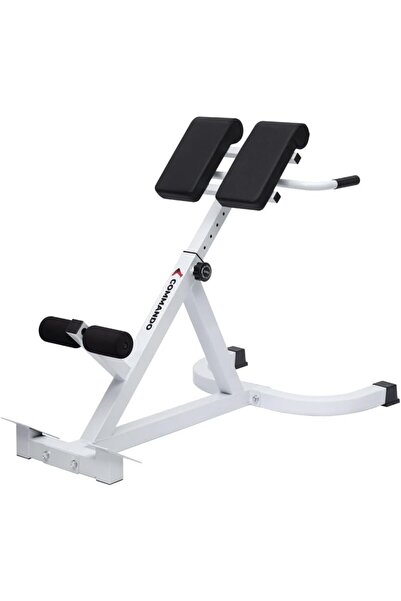 Generic Roman Back Exerciser, Lower Back and Abdominal Strengthening Device, ...