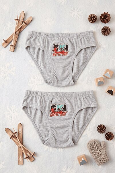 hadiora Boys' Gray Printed Cotton Briefs 2-Pack