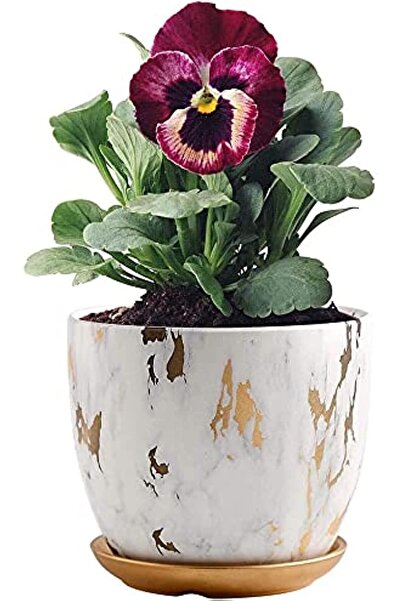Generic Marble Plant Pot, 5.8 inch Modern Ceramic Nordic Style Marble Look Sc...