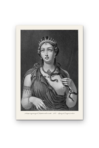 OEM Poster Carton 250g A4, Gravura Antica Originala Cleopatra cu Sarpe 1885, ...