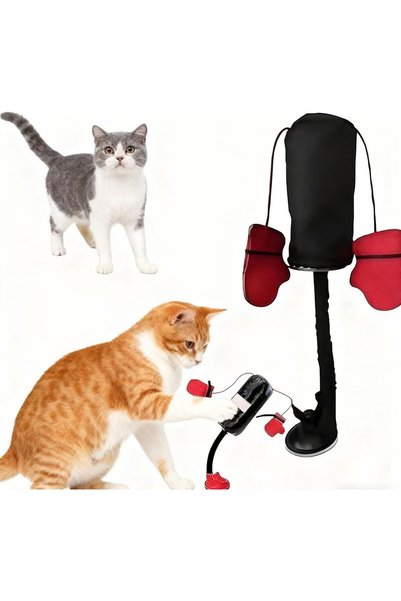 Generic Cat Punching Bag Toy, Suction Cup Spring Interactive Cat Toy for Wall...