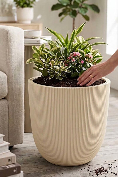 TEMMUZ HOME Palmiye Büyük Boy Çiçek ve Bitki Saksısı | 30 Lt İç ve Dış Mekan ...