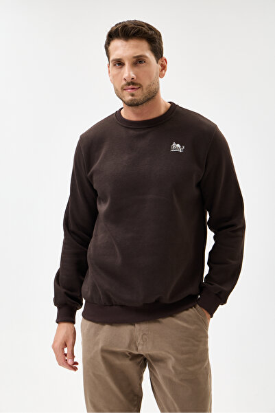 RAPHMOND Dark Brown Crew Neck Regular Fit Cotton Basic Sweatshirt