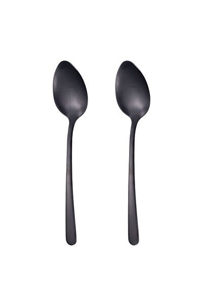 OEM Stainless Steel Spoons Black 21cm - 2pcs