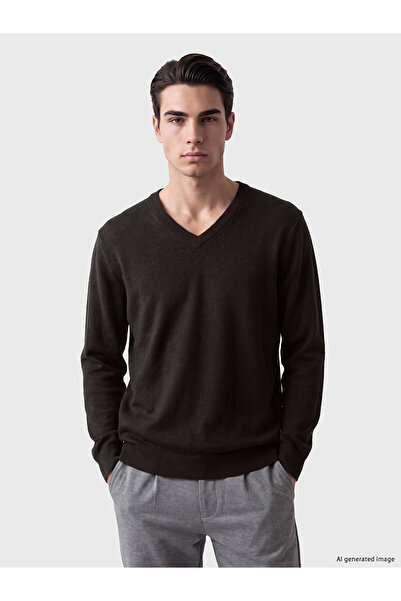 LC Waikiki Nevavm with Difference Lcwaikiki Classic Brown Knitwear Plain V-Ne...
