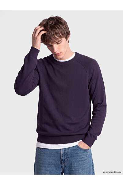 LC Waikiki Nevavm Farkıyla Xside Purple Knitwear Plain Oval Collar Men's Sweater