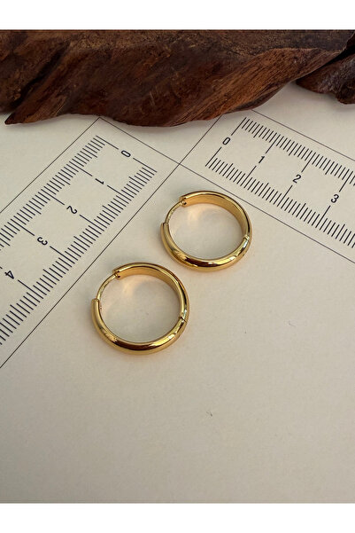 Rupen Kraft 316 L Surgical Steel Hoop Earrings Gold Color Hoop Earrings Hoop ...