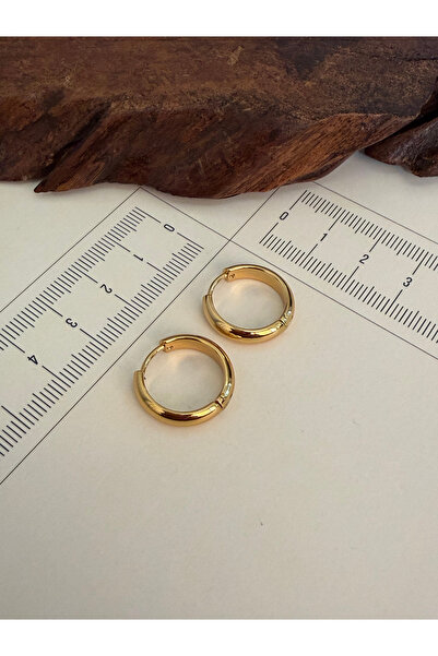 Rupen Kraft 316 L Surgical Steel Hoop Earrings Gold Color Hoop Earrings Hoop ...