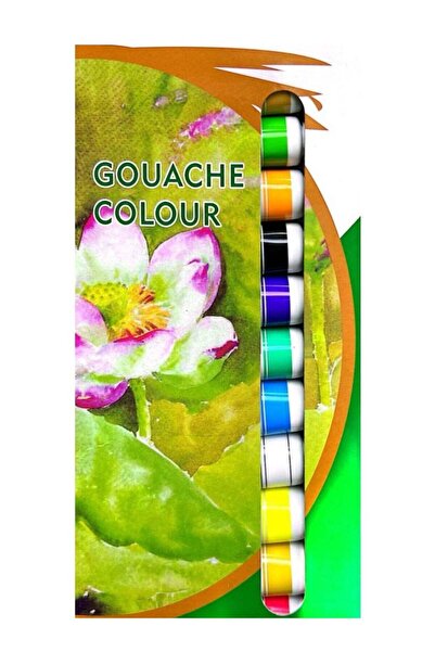 Generic 12-Pieces Gouache color Paint Set Multicolour