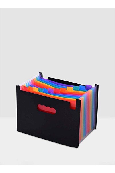 Generic 13 Pocket Expanding File Folder, Large Capacity Accordion File Organi...