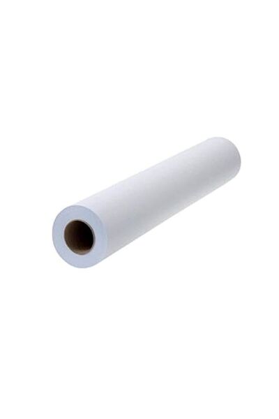 Generic TERABYTE PLOTTER PAPER ROLL 450MM X 50MM