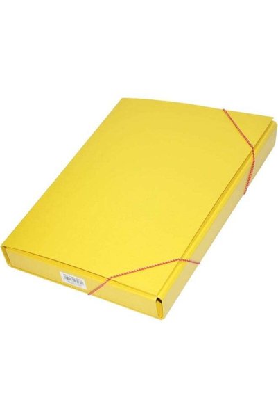 Generic FIS PP Document Bag, Foolscap Size (235x347mm), 3 cm Spine, 4 Fold St...