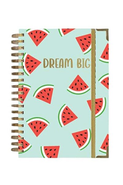 Generic Dream Big Notebook, Spiral, Gifting multicolour