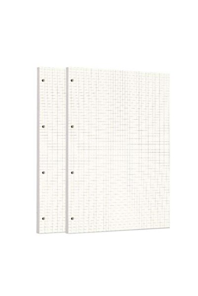 Generic Zelten 2 Pack A4 90 Sheets/180 Pages Squared Loose Leaf Punched Paper...