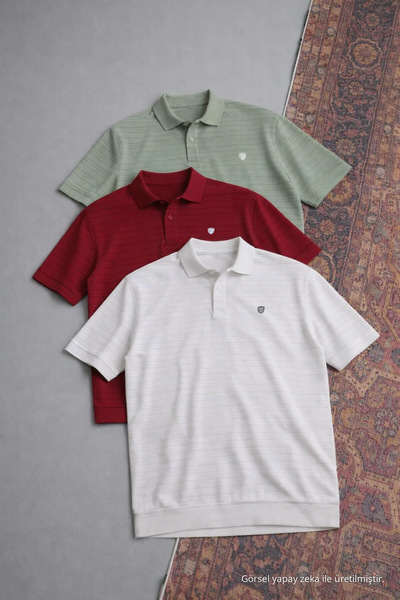 COMBİNE MİCHAİL Men's Casual Cotton Pack 3-Piece Polo Collar T-Shirt