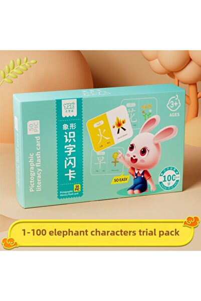 Choice 100 words 100 Words Chinese Pinyin Card Characters Picture Enlightenme...