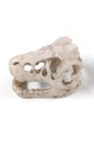 Choice Resin Dinosaur Simulation Mini Dinosaur Ornaments Decorative Props Cra...