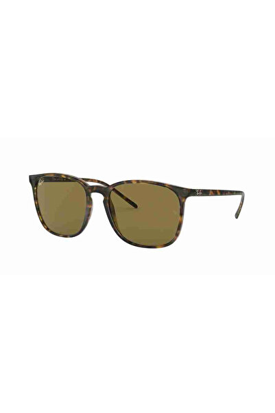 Ray-Ban 4387 710/73 56 Unisex Güneş Gözlüğü