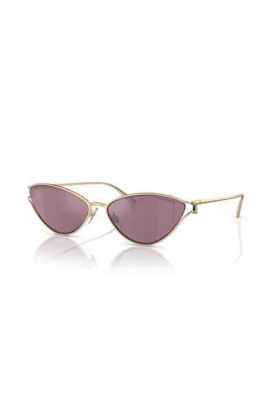 Tiffany&Co . Tf 3095 6194Ak 61 Women's Sunglasses