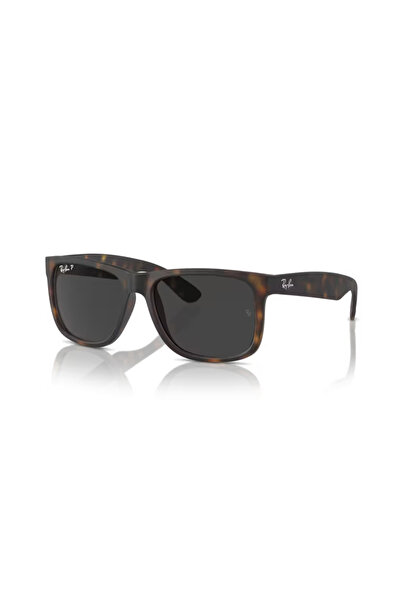 Ray-Ban Rb 4165 865/87 55 Justin Polarized Sunglasses