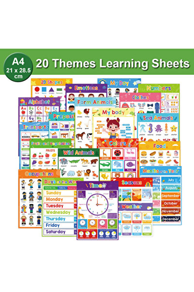 Choice 20 Themes Educational Posters for Preschool Kids English Words Learnin...