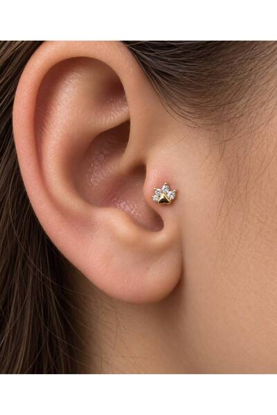 Arescollection 1 ADET ÇELİK BARLI ZİRKON TAŞLI PATİ ŞEKLİNDE TRAGUS HELİX KIK...