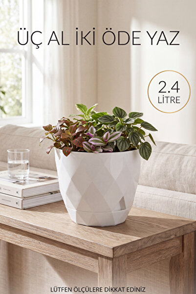 TEMMUZ HOME 3 No 2.4 Litre 1 Adet Yakamoz Çiçek Ve Kaktüs Saksı