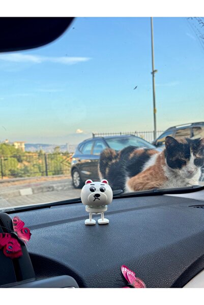 senfida Zıp zıp beyaz ayıcık torpido süsü sallanan yaylı kafa sallayan süs